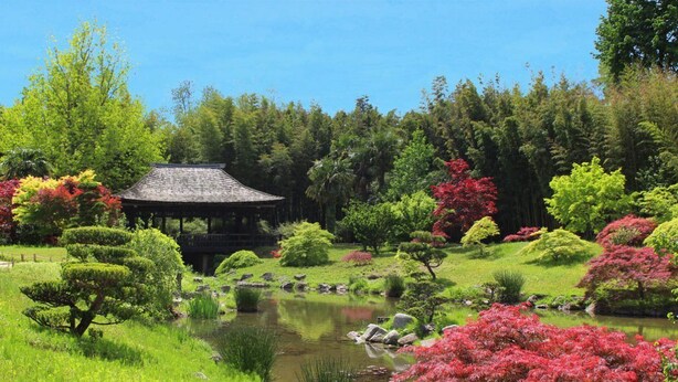 A traditional Japanese garden with a pavilion, a pond, and various trees and shrubs. - Villa Piscine vue Castelas (Rochefort-du-Gard)