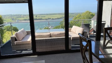 Smart TV, chimenea, reproductor de DVD y libros