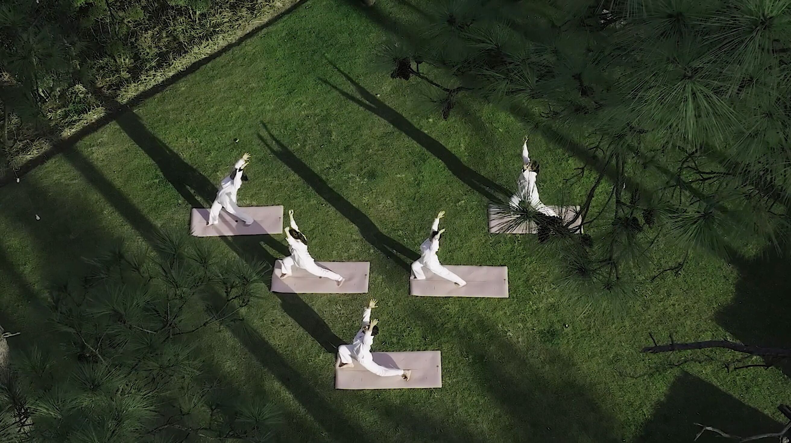 Um grupo de pessoas vestidas de branco praticando yoga em tapetes em uma área gramada ao ar livre.
