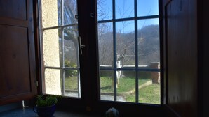 A kitchen with a window, a potted plant, and a small cactus on the counter. - Villa Campana (Torino)