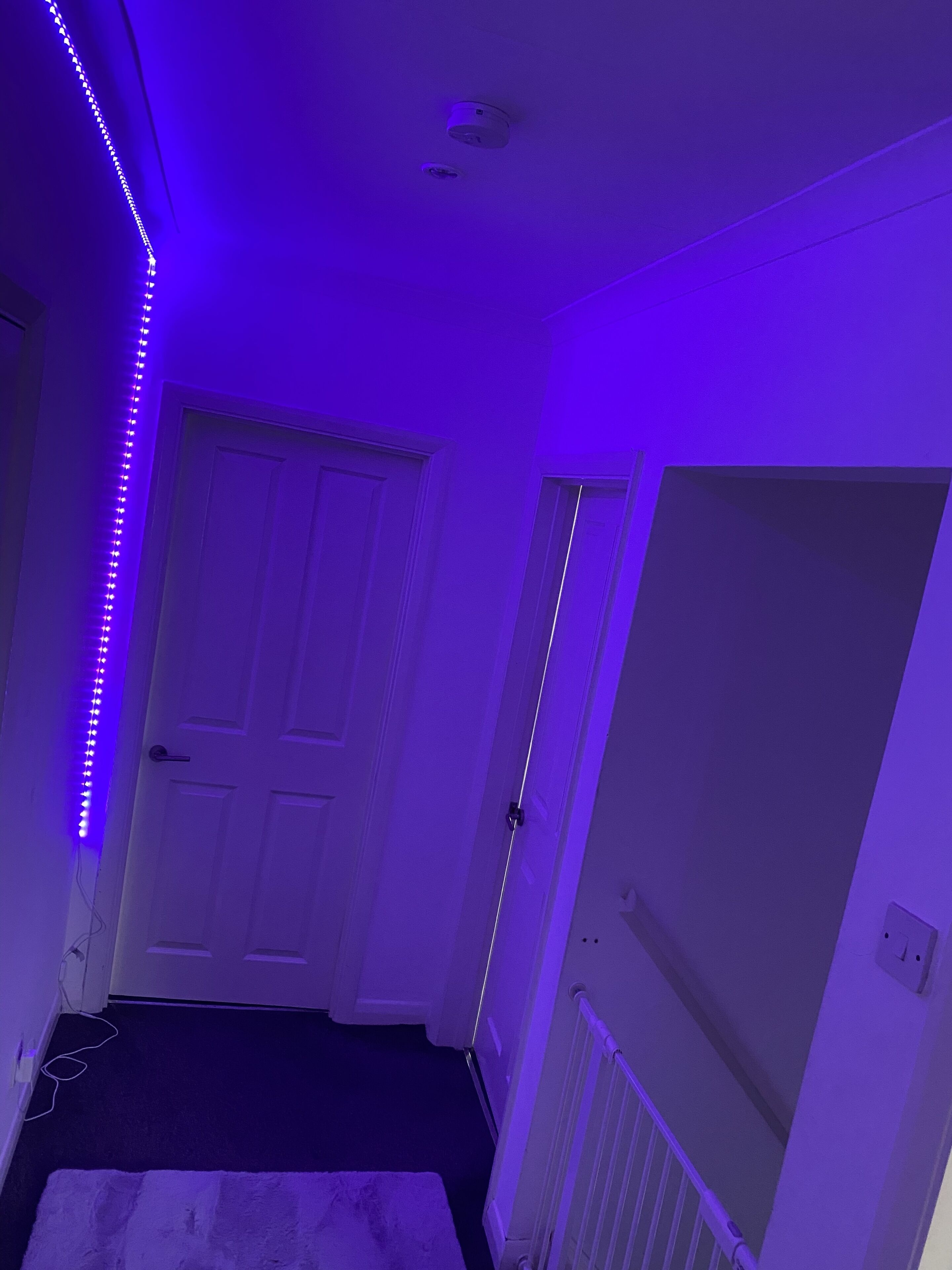 House, 1 Queen Bed with Sofa bed | Interior