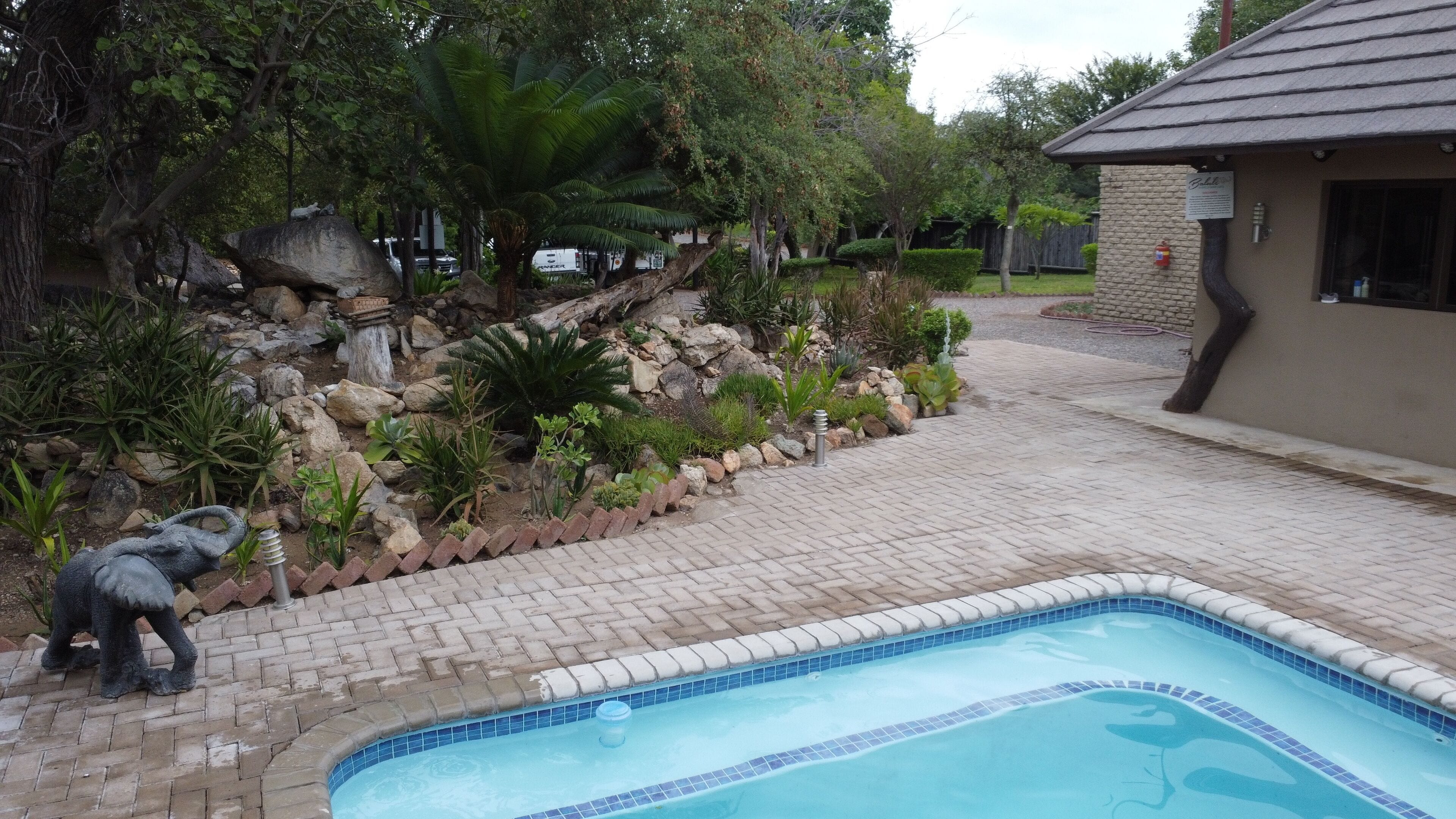 Outdoor pool, pool loungers