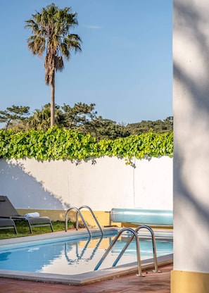 A swimming pool with metal ladders, surrounded by a white wall with green foliage, and a palm tree in the background.