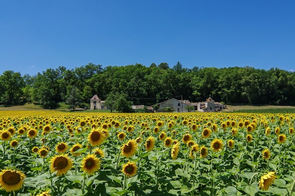 The gite is on the far right hand side of our property, with the pigeonaire.