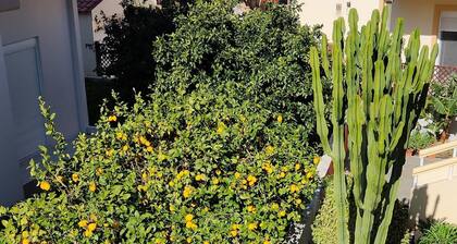 Lefteris Insta-worthy Studio With Balcony