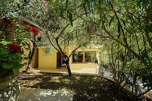 Stroll through the serene garden, surrounded by lush greenery and tranquil trees, to a modern building with large windows.