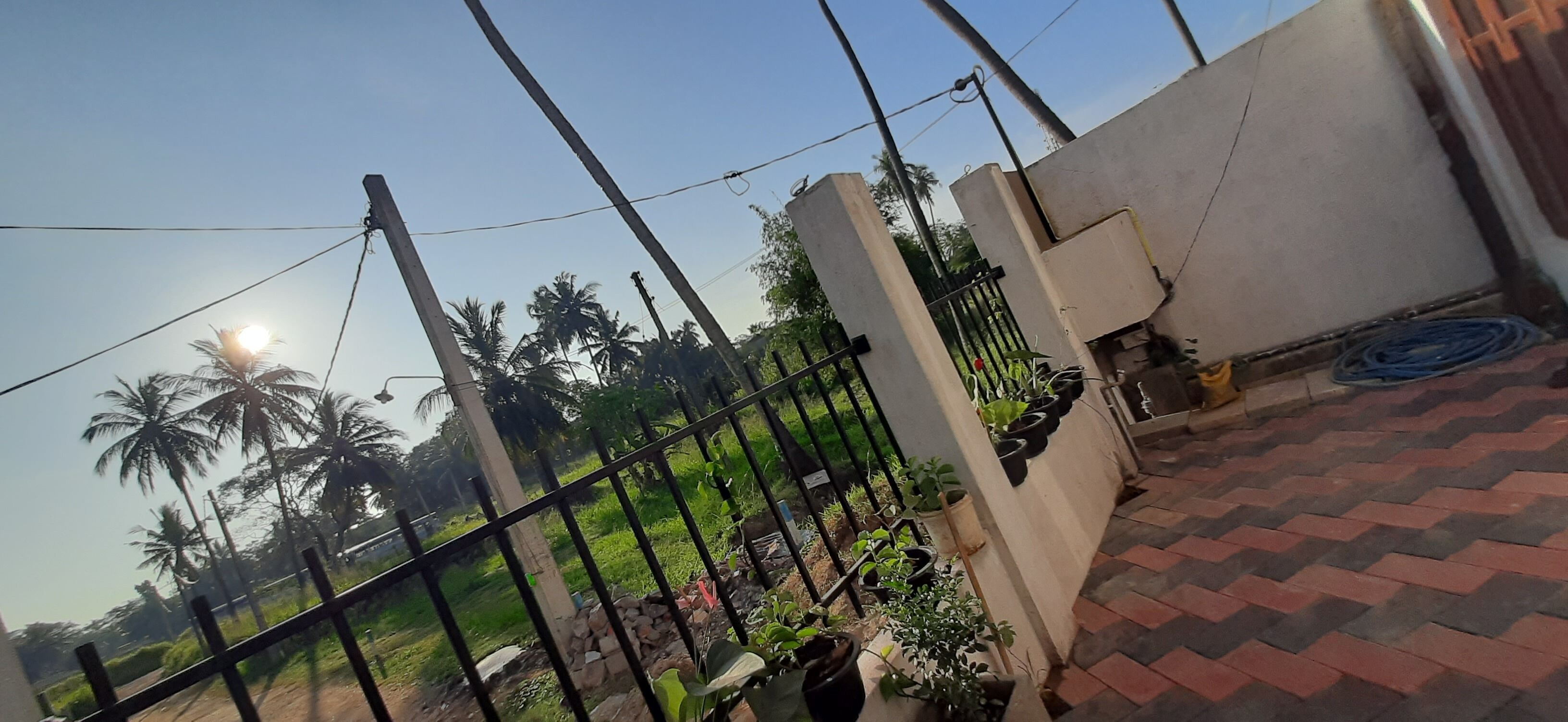 A gated outdoor area with a paved walkway, a metal fence, and potted plants.