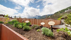 A garden with labeled plants and a view of a mountain.