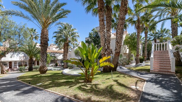 Un cortile con palme, una fontana e un edificio bianco con finestre ad arco.