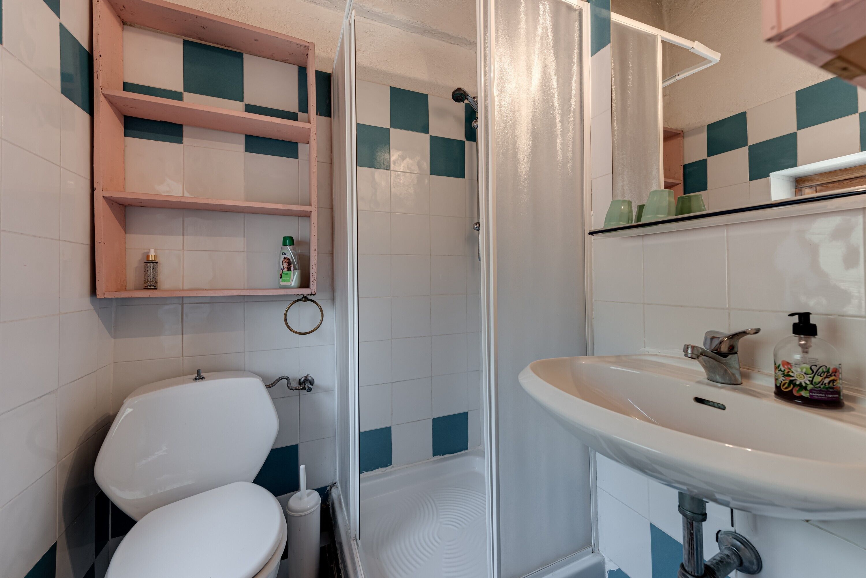Une salle de bain équipée de toilettes, d’une douche, d’un lavabo et d’un miroir.