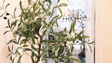 Regadera, regadera con hidromasaje, secadora de cabello, pantuflas