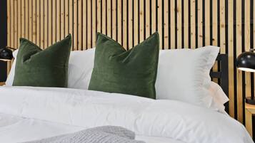 1 chambre, bureau, fer et planche à repasser, Wi-Fi