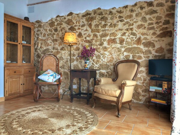 Sala de estar con pared de piedra, un mueble de madera, una silla de ratán, un sillón color beige, una lámpara de pie, una mesita con un jarrón y un televisor sobre un mueble.