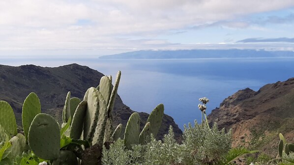 A mountainous landscape with cacti and a view of the sea.