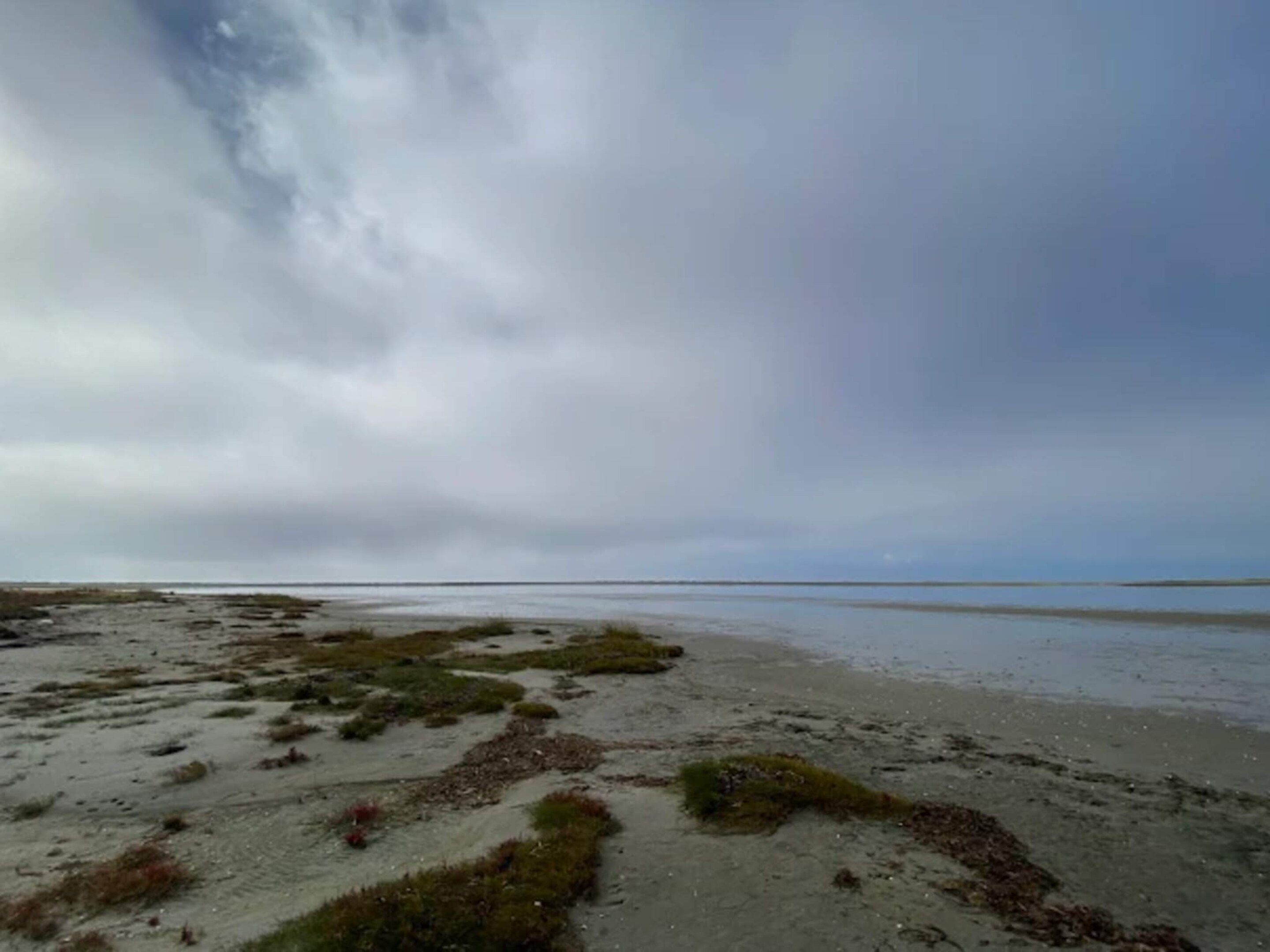 A beach with sparse vegetation and a cloudy sky.