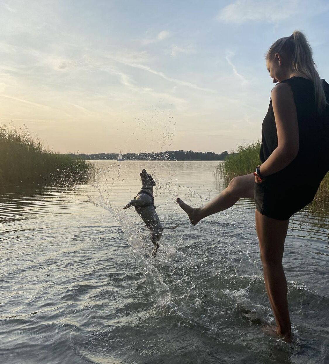 Eine Person steht im flachen Wasser, während ein Hund hochspringt.