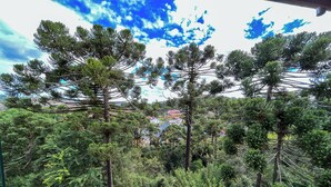 A view of a lush, green landscape with tall pine trees and a winding road. - Pousadinha Campos (Campos do Jordão)