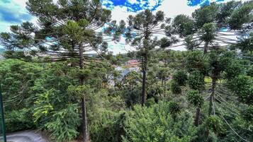 Deluxe Room | Hypo-allergenic bedding, minibar, desk, laptop workspace