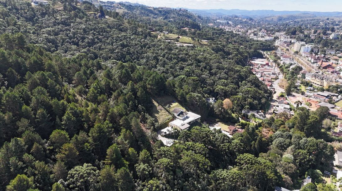 Vista aérea de una zona residencial con abundante vegetación, algunos edificios y cielo despejado.