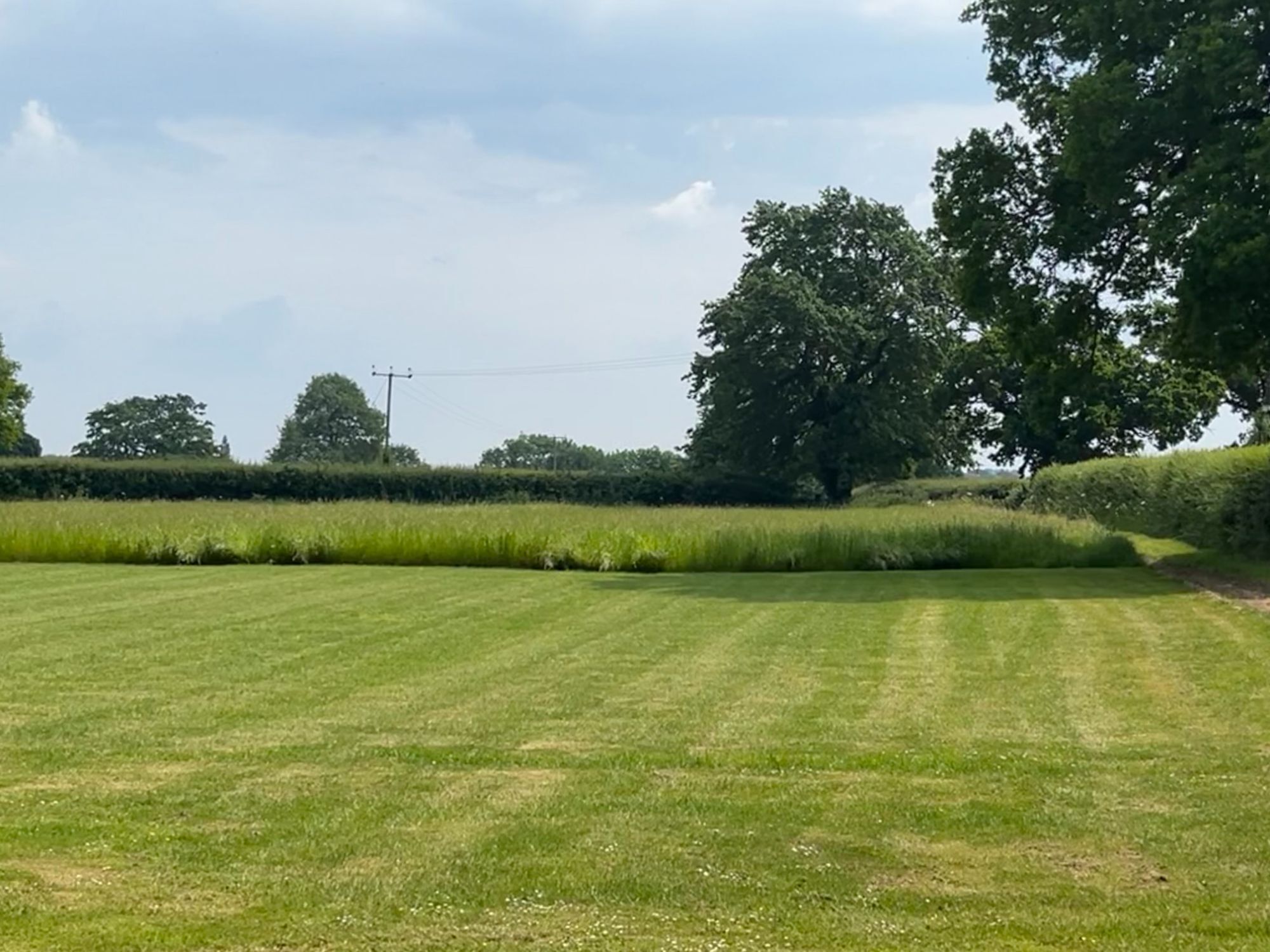 A well-maintained grassy field with a hedge and trees in the background.