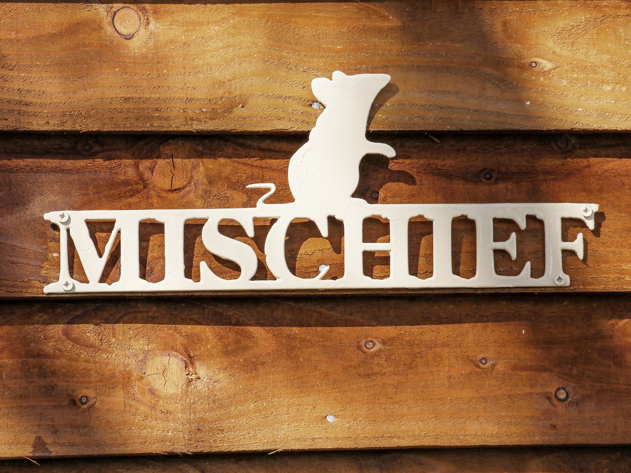 A wooden sign with the word "MISCHEEF" and a silhouette of a pig.