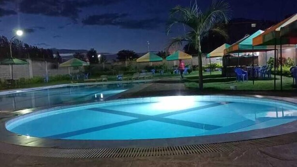 Una piscina con borde de baldosas, rodeada de césped y algunas palmeras.