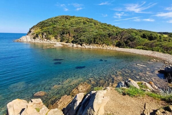 A coastal landscape with clear water, rocky shore, and a hill with dense vegetation.