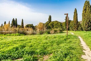 Miscellaneous - Casa di Allegra Terme di Venturina (Campiglia Marittima)