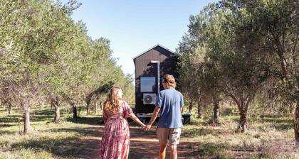 Olive Grove Retreat 2 by Tiny Away