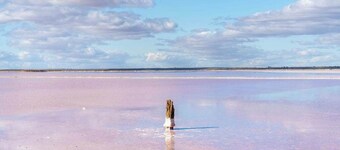 Olive Grove Retreat 2 by Tiny Away