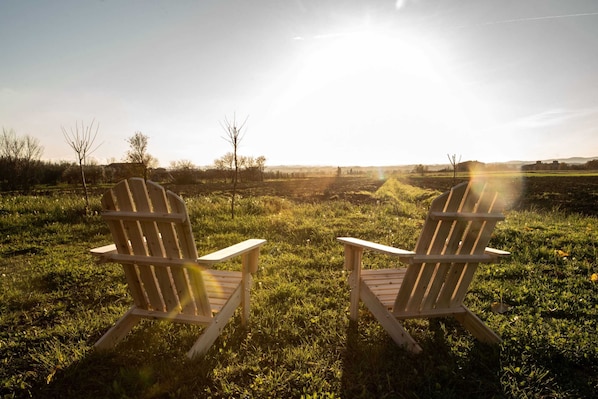 المنطقة المحيطة بالمنشأة