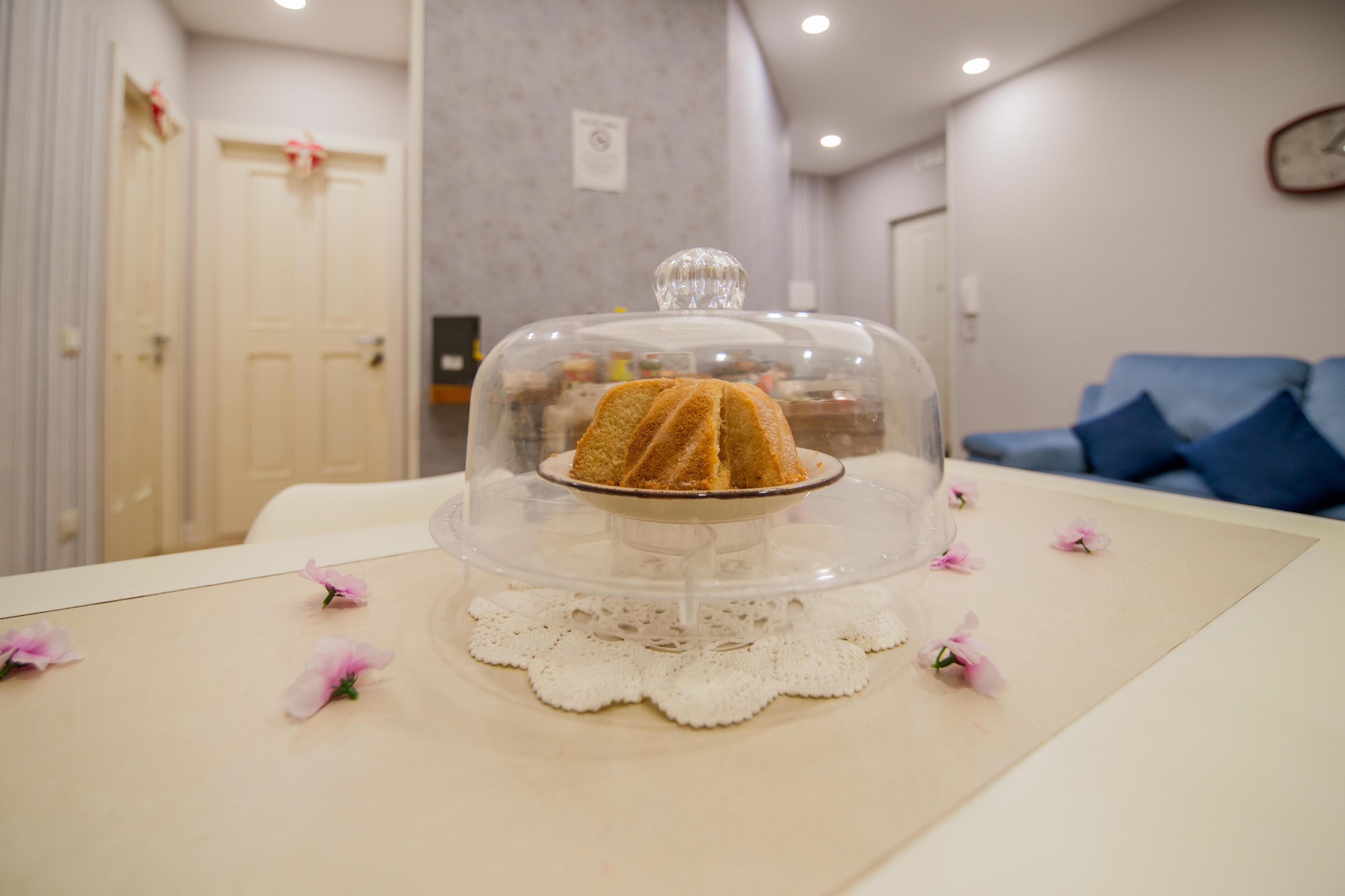 Photo - Le suite del nostromo