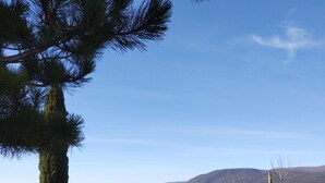 Ein grasbewachsenes Feld mit einem großen Baum und Blick auf ferne Hügel.