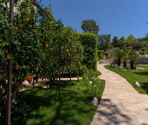 Casa | 3 quartos