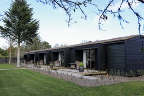 テラス / パティオ