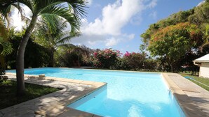 A swimming pool with stone tiles and a palm tree.