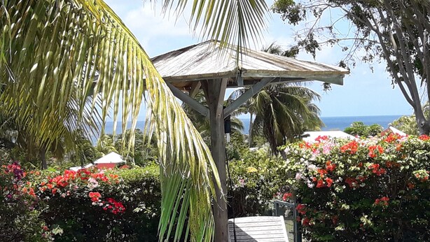 A wooden deck with two lounge chairs, a palm tree, and a thatched-roof structure.