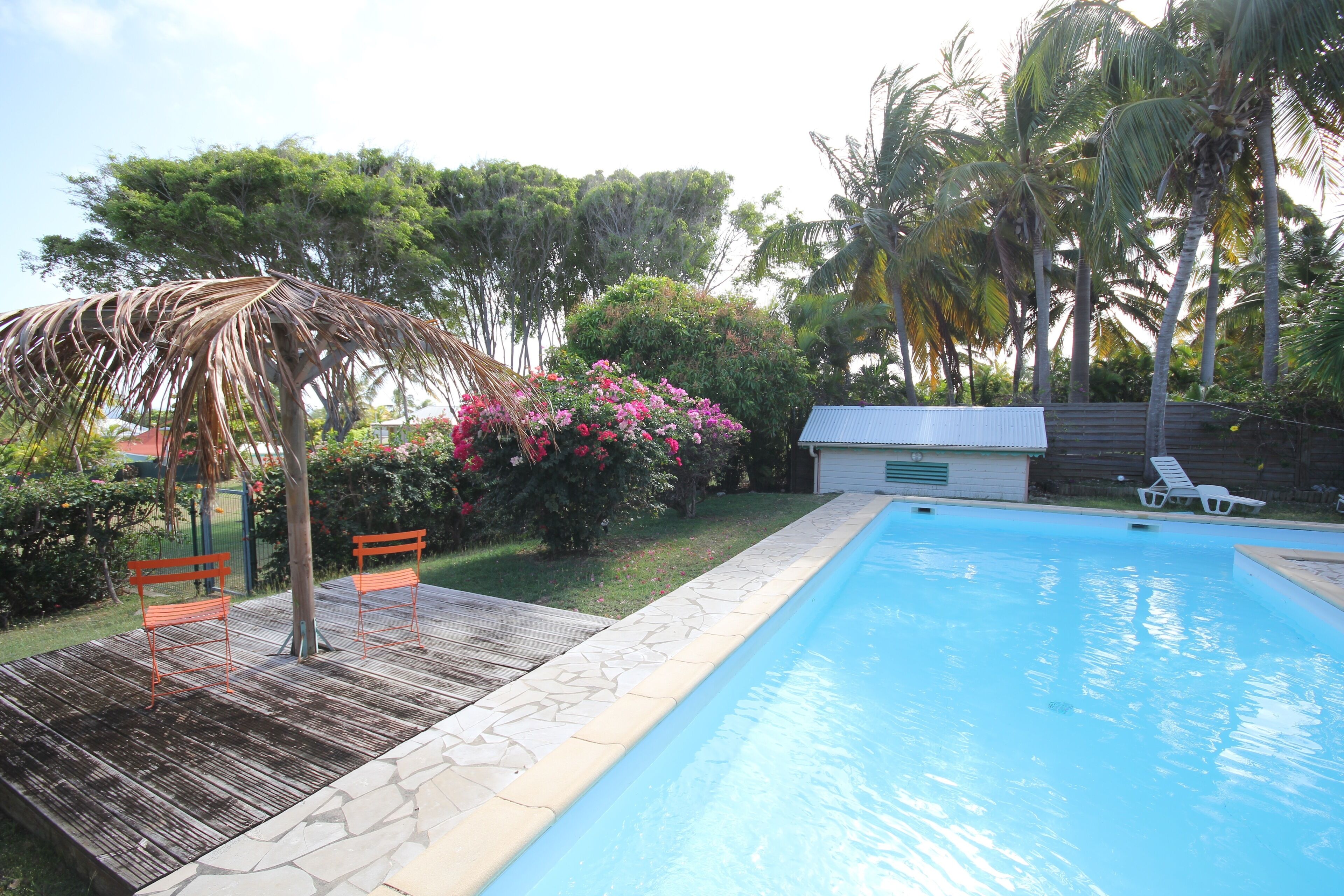 A swimming pool with a wooden deck, two benches, and a small shed.