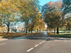 Miscelánea