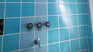 Ducha, secador de pelo, bidet, toallas