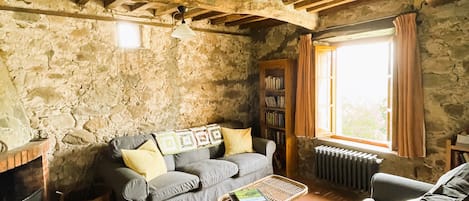 TV, fireplace, DVD player, books