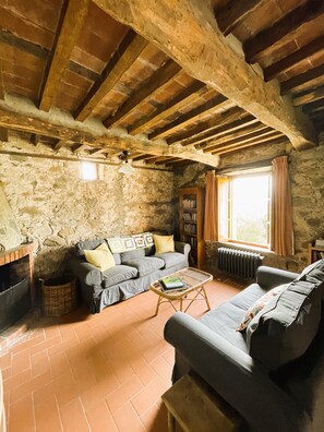 Televisio, takka, DVD-soitin, kirjoja