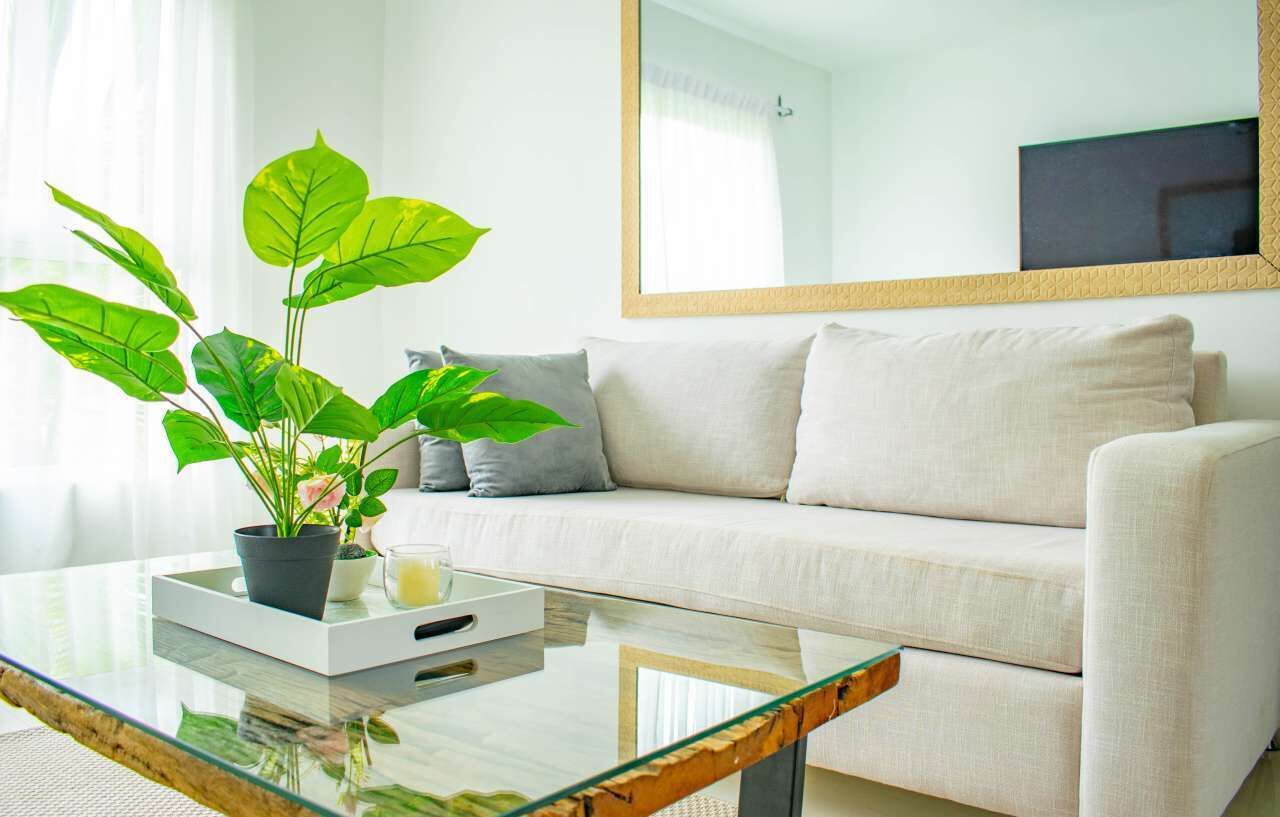 Una sala de estar con un sofá blanco, una mesa de centro de vidrio y una planta en maceta.