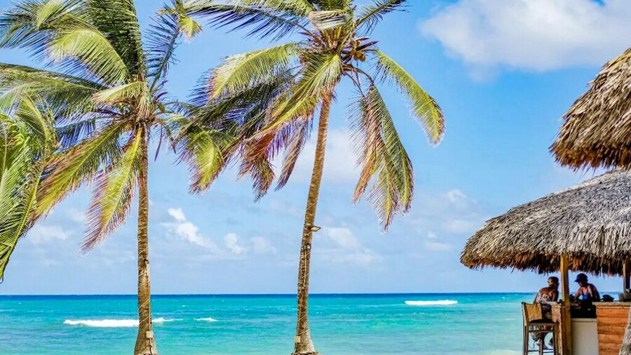 Playa Palmera Beach Resort