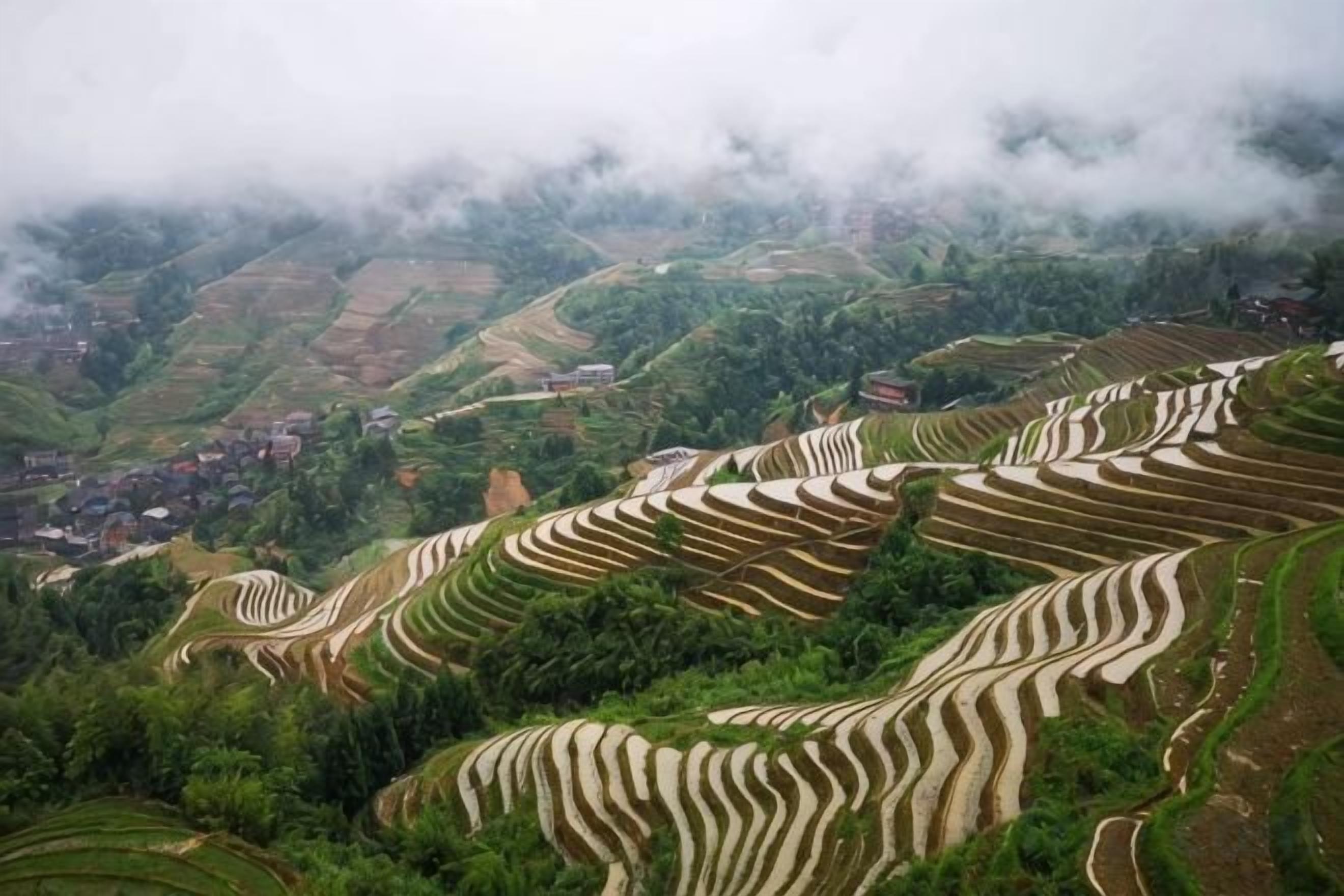 Terraced fields on a hillside.