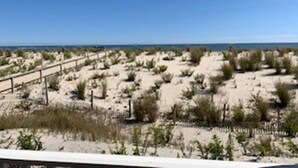 Une plage avec une promenade en bois et une végétation clairsemée.