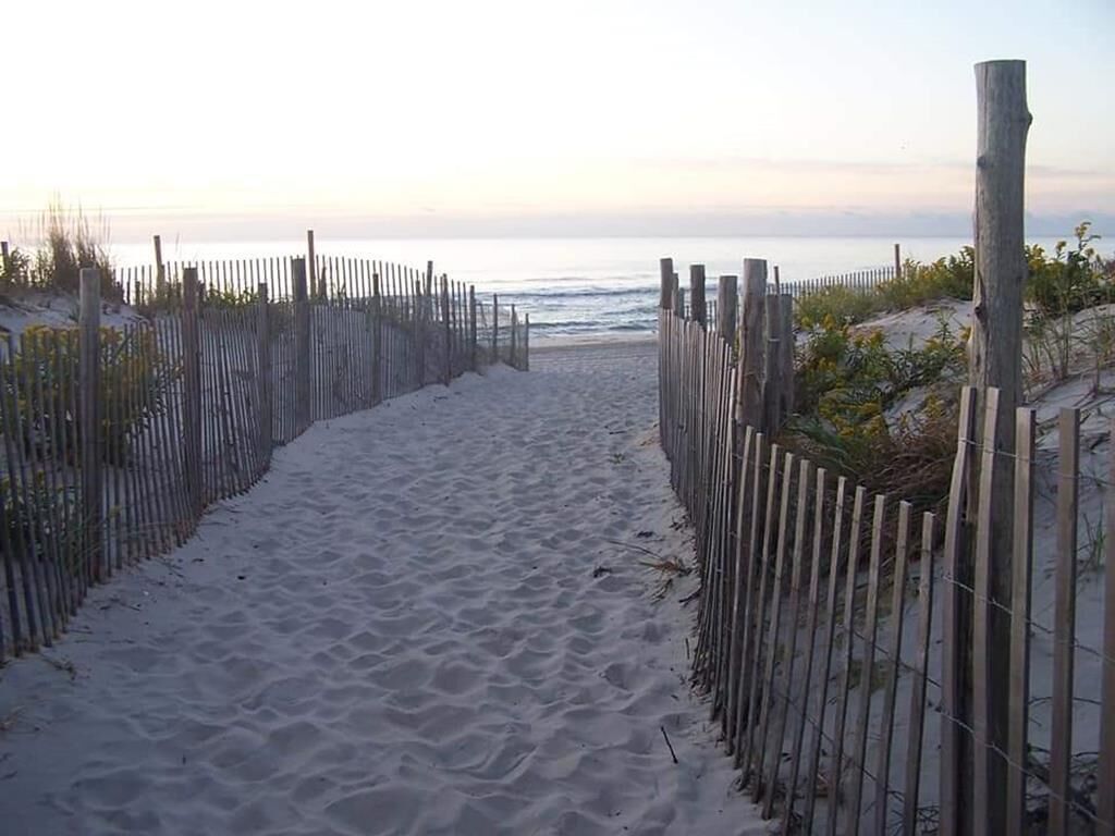 Sun loungers, beach towels