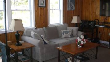 Smart TV, DVD player