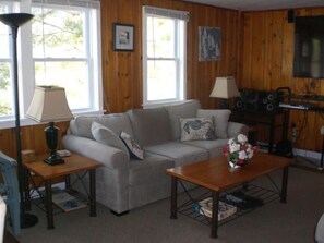 تلفزيون ذكي، مشغل دي في دي