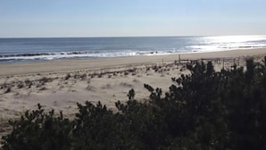 A beach with a sandy shore, a wooden fence, and sparse vegetation. - 4 bedroom accommodation in Harvey Cedars (Harvey Cedars)